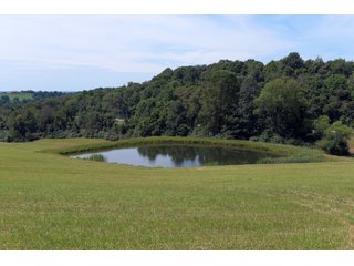 Tract 20 - Timberland & Farmland in Noble County, OH - LAND AUCTION - 12,200+/- ACRES OFFERED IN 65 TRACTS IN NOBLE COUNTY, OHIO
